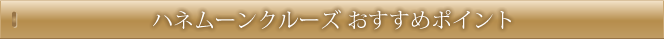 ハネムーンクルーズ おすすめポイント