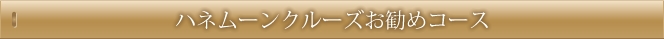 ハネムーンクルーズお勧めコース