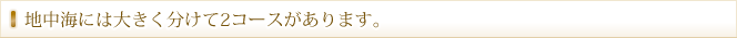地中海には大きく分けて2コースがあります。